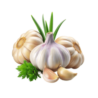 Vegetable